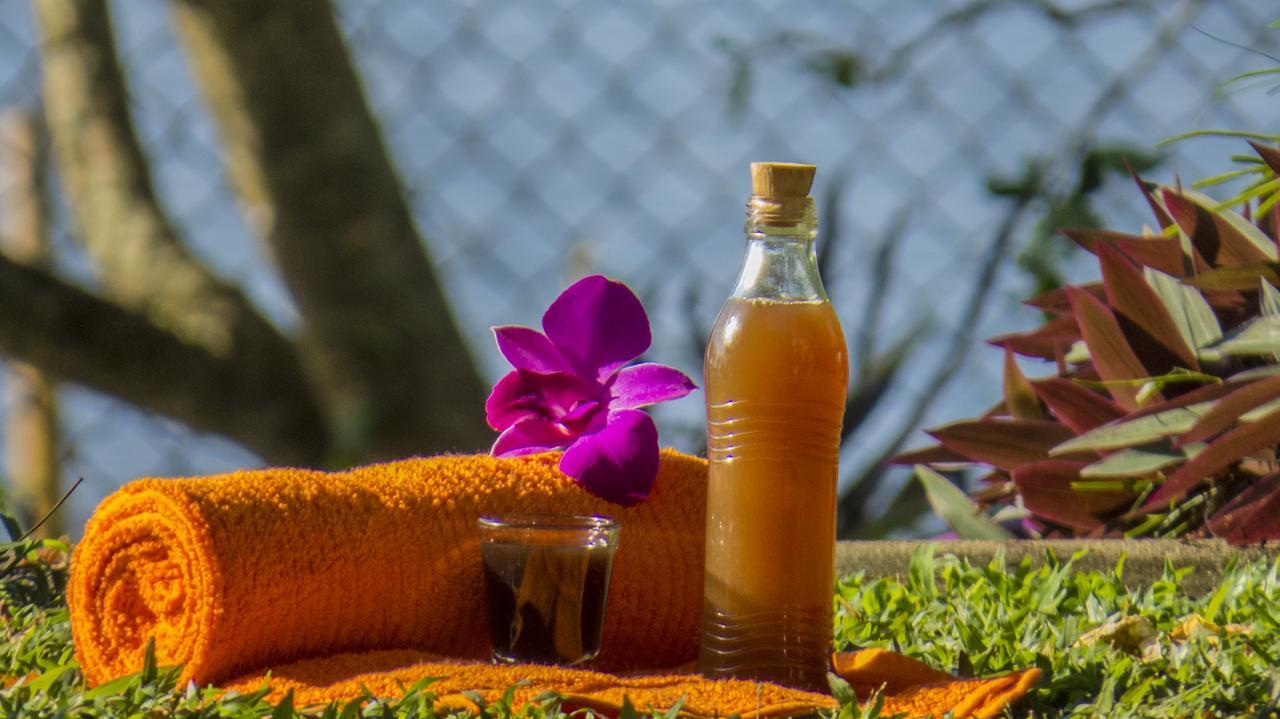 Hotel Ayurveda Spring Of Life Piliyandala Zewnętrze zdjęcie
